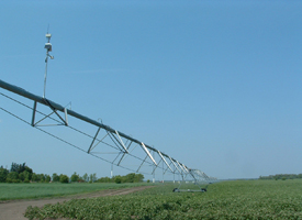 Irrigation