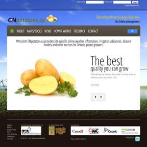 ON Potatoes